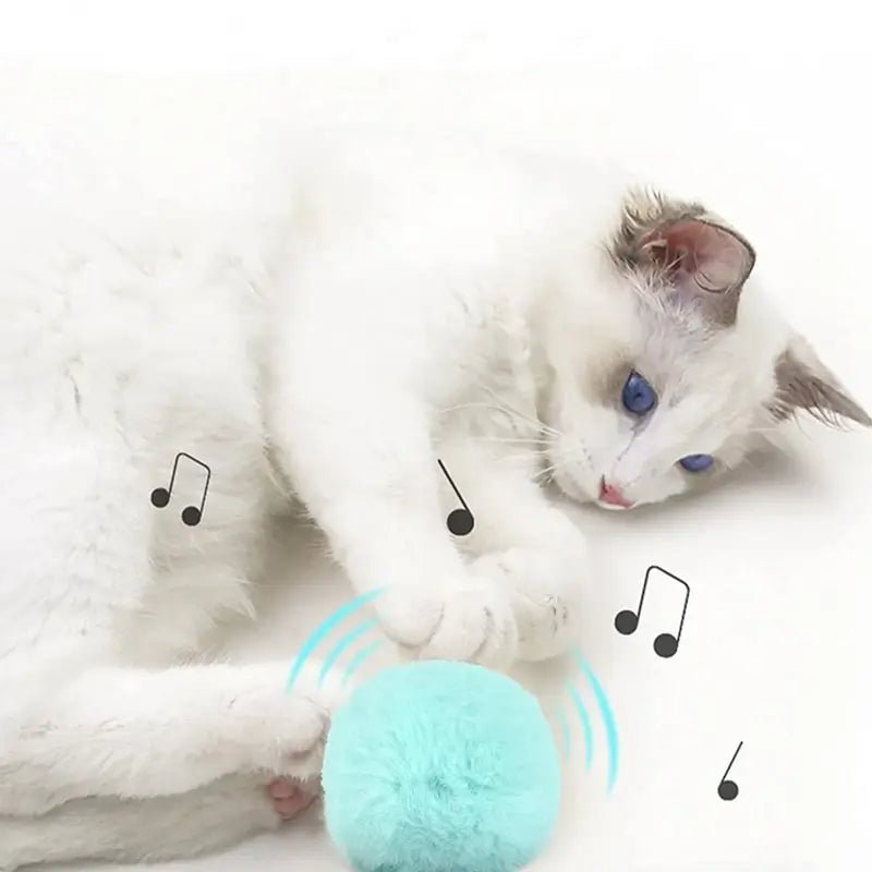 Interactive Ball Smart Cat Toys Plush Electric Catnip Training Toy Kitten Touch Sounding Pet Product Squeak Toy Ball - Etawia Products